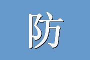 防御方式问卷（DSQ）