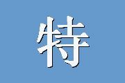 特质应对方式问卷（TCSQ）