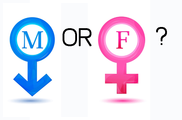 男性化与女性化倾向测试-你骨子里是男还是女？