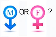男性化与女性化倾向测试-你骨子里是男还是女？